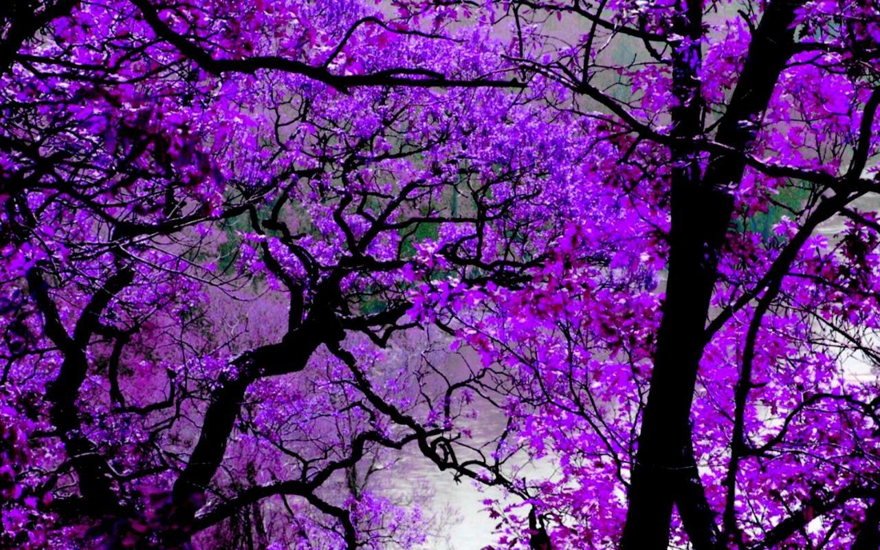 Violet #Colony_White_Tower Apartment Tesalonika Bagian luar foto